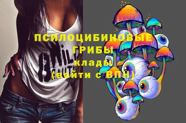 соль ск Елизово