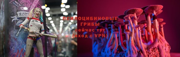 а пвп мука Ельня