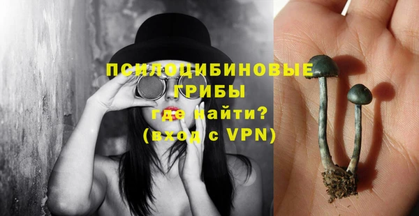 ешки Елабуга