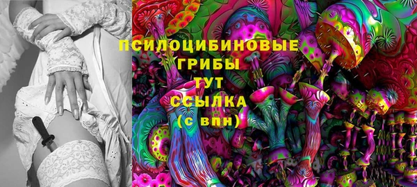соль ск Елизово