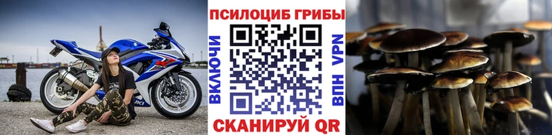 Купить где Истра Псилоцибиновые грибы мицелий
